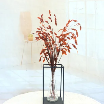 10шт 50 ~ 60 см Консервированный цветок Маленькой травы Надежды, Сушеный Букет Цветов, Пространственная витрина, Гостиная, Свадебное украшение