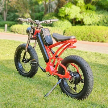 20-дюймовый электрический горный Ebike мощностью 1000 Вт, мотор с задней ступицей, электрический велосипед, мотоцикл высокого качества